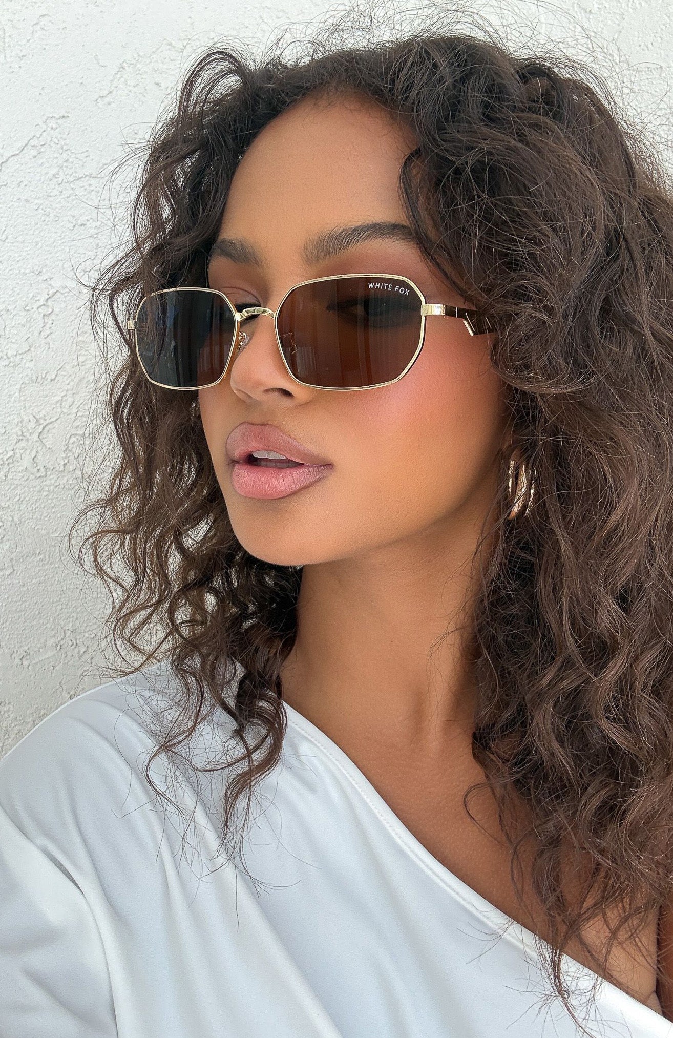 Arden Sunglasses Chocolate/Gold