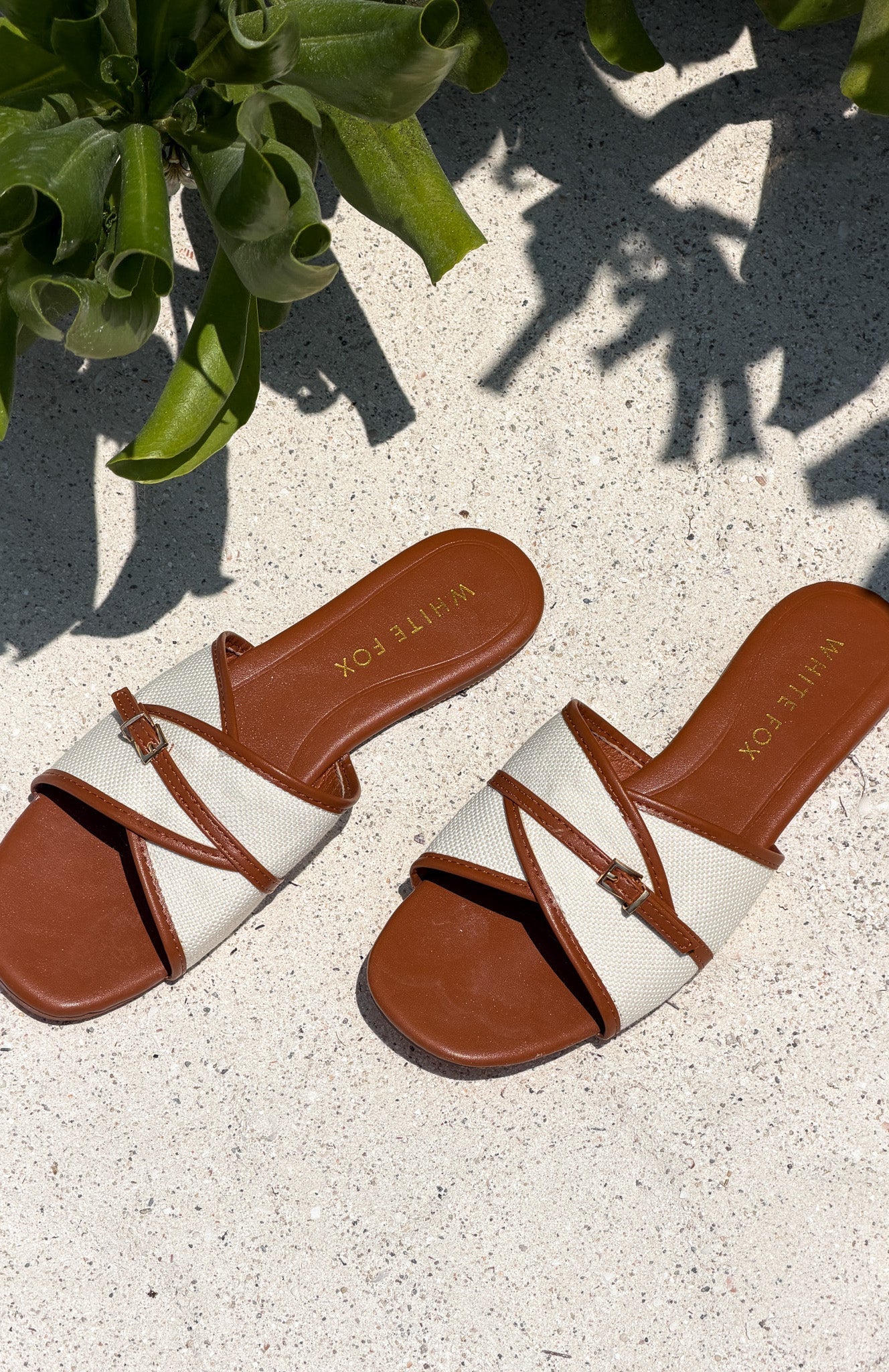 Pearson Slides Tan